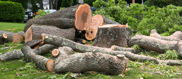Lawn Maintenance Plans in Browns Point, WA